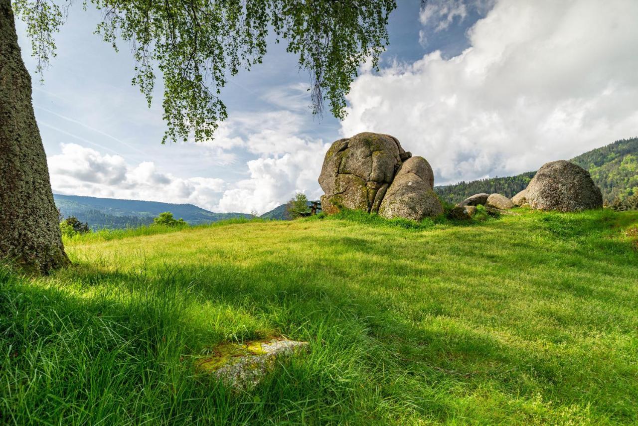 Ferienwohnung Bergblick Forbach Exterior foto